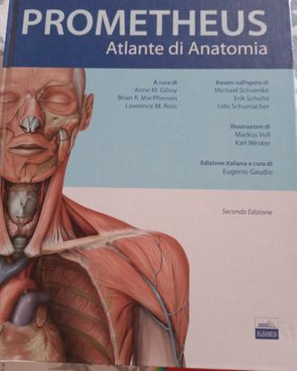 Atlante di Anatomia PROMETHEUS