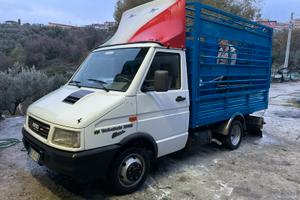 Daily trasporto animali vivi