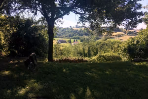 Podere rustico restaurato 10 min Parma zona panor.