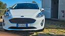 ford-fiesta-1-1-75-cv-gpl-5-porte-titanium