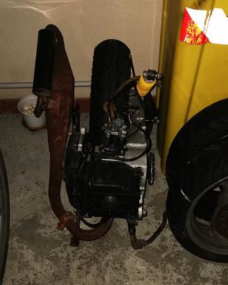 motore Derbi Predator 50cc 