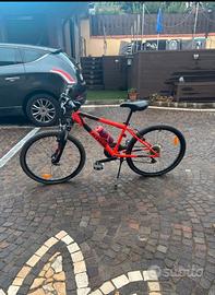 Bicicletta Mountain bike