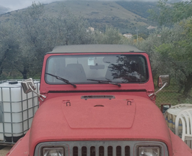 Wrangler yj ASI