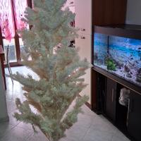 Albero di natale