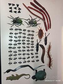 Scherzo Carnevale mosche formiche ragni