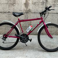 Mountain bike raggio 26