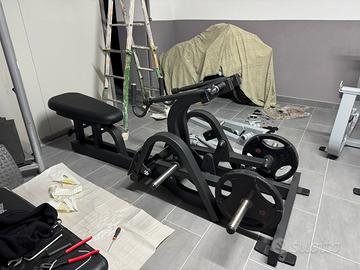 Nautilus Compund Row copy