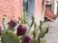 Immagine 9