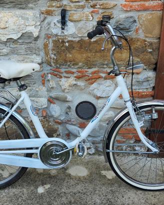 Bicicletta pieghevole