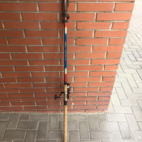Canna da pesca Daiwa Jaguar 40