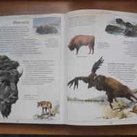 Prima Enciclopedia illustrata animali