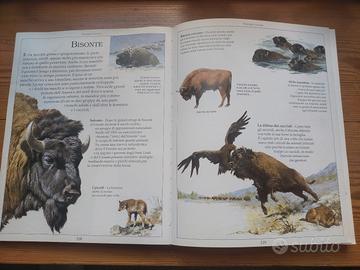 Prima Enciclopedia illustrata animali