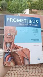 Prometheus Atlante di Anatomia 
