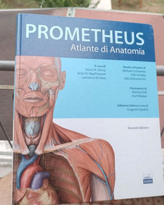 Prometheus Atlante di Anatomia 