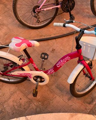 Bicicletta