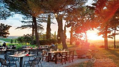 Cuoco, aiuto cuoco e lavapiatti