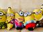 Immagine 5