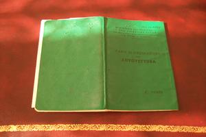 FIAT 500L - anno 1969