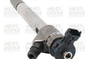 Iniettore Diesel Ford Ecosport 1.5 Ecoblue TDCi