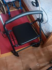 deambulatore 