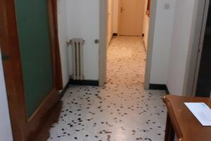 Stanze per studenti al viale regina margherita