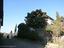 Immagine 14