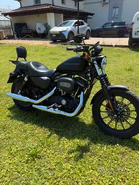 Harley Davidson 883 Iron