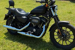Harley Davidson 883 Iron