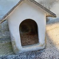 Casetta per cani