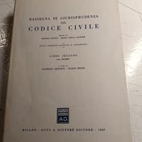 Rassegna di Giurisprudenza sul Codice Civile 