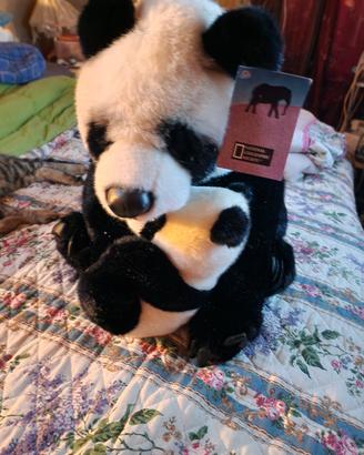 peluches