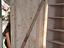 Immagine 19