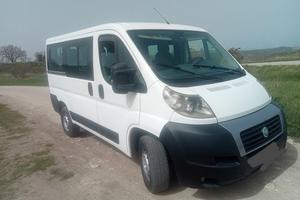 Fiat Ducato 9 posti