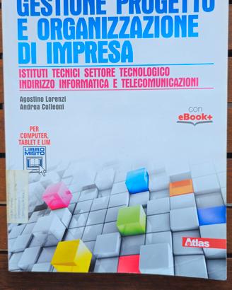Gestione Progetto e Organizzazione di Impresa