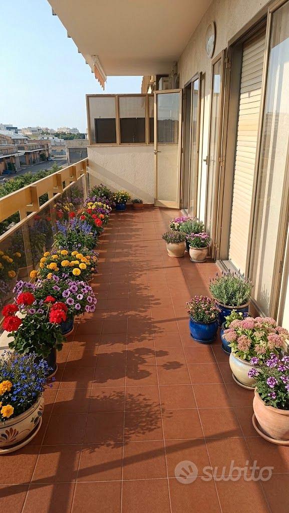 Appartamento – Bari, Murat, Municipio 1 - Vista 2