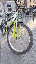 Bicicletta bambino 20 pollici