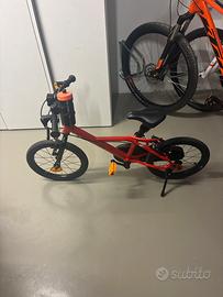 Bicicletta bambino 3/6 anni