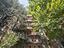 Immagine 24