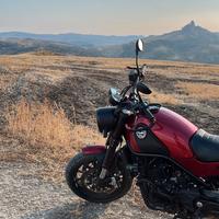 Benelli Leoncino 500