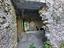 Immagine 4