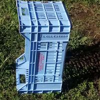 cassetta  ortofrutta