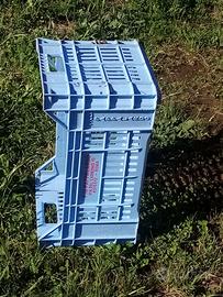 cassetta  ortofrutta