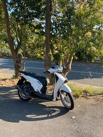 sh 125 2019
