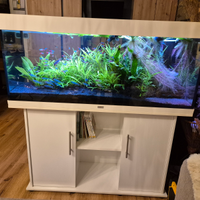 Acquario