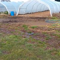 ULTIMI OGGETTI E SERRE AGRICOLI