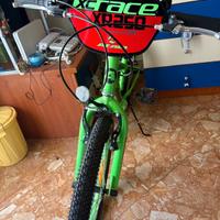 bicicletta