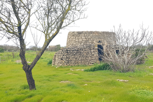 Terreno agricolo vicino al mare