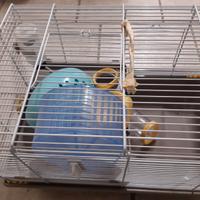 gabbia criceto completa di accesori