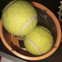 palline tennis 