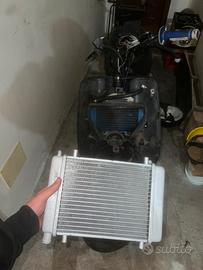 radiatore malossi
